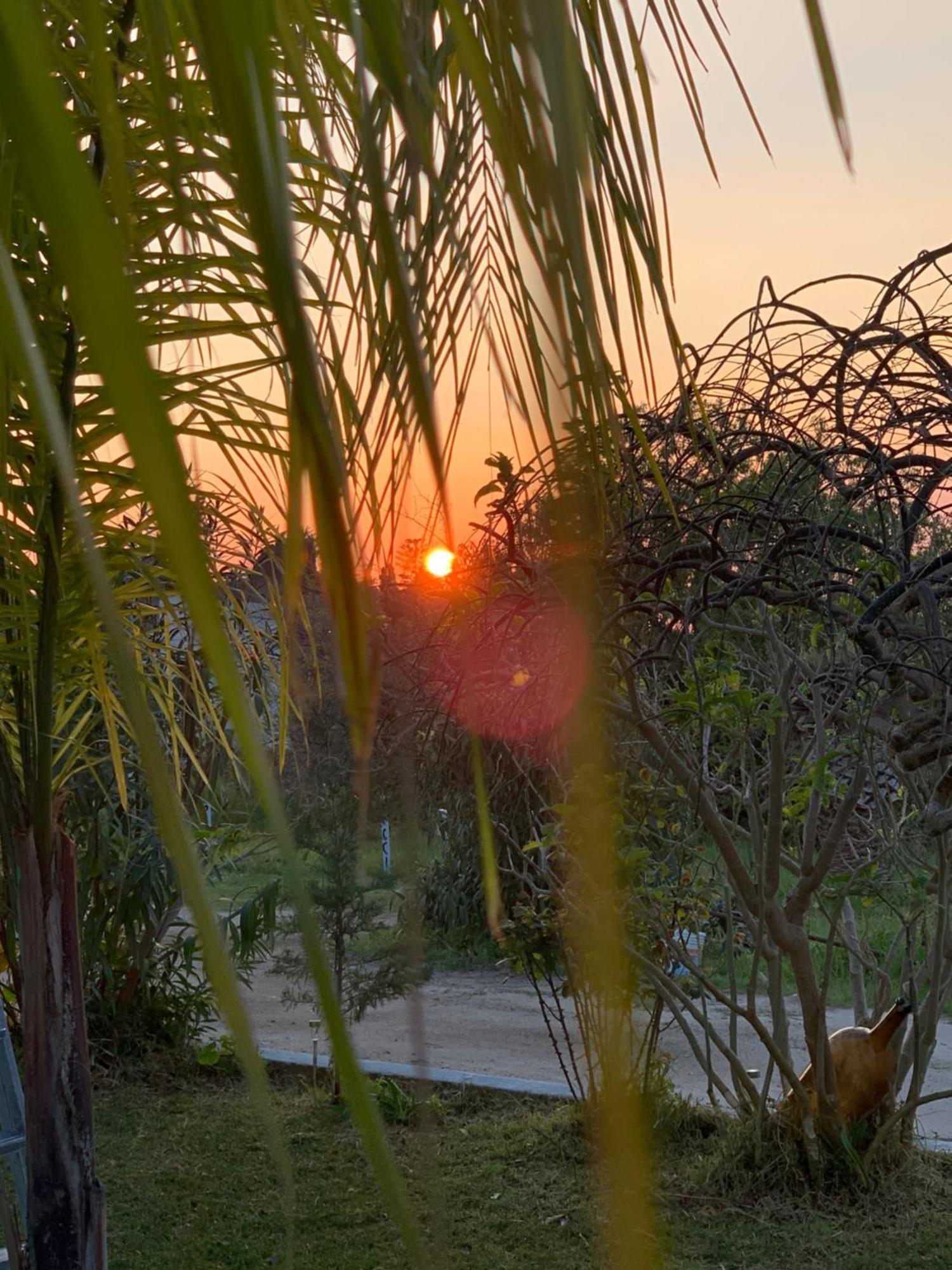 B&B A Casa Di Picci Santa Domenica  Ngoại thất bức ảnh
