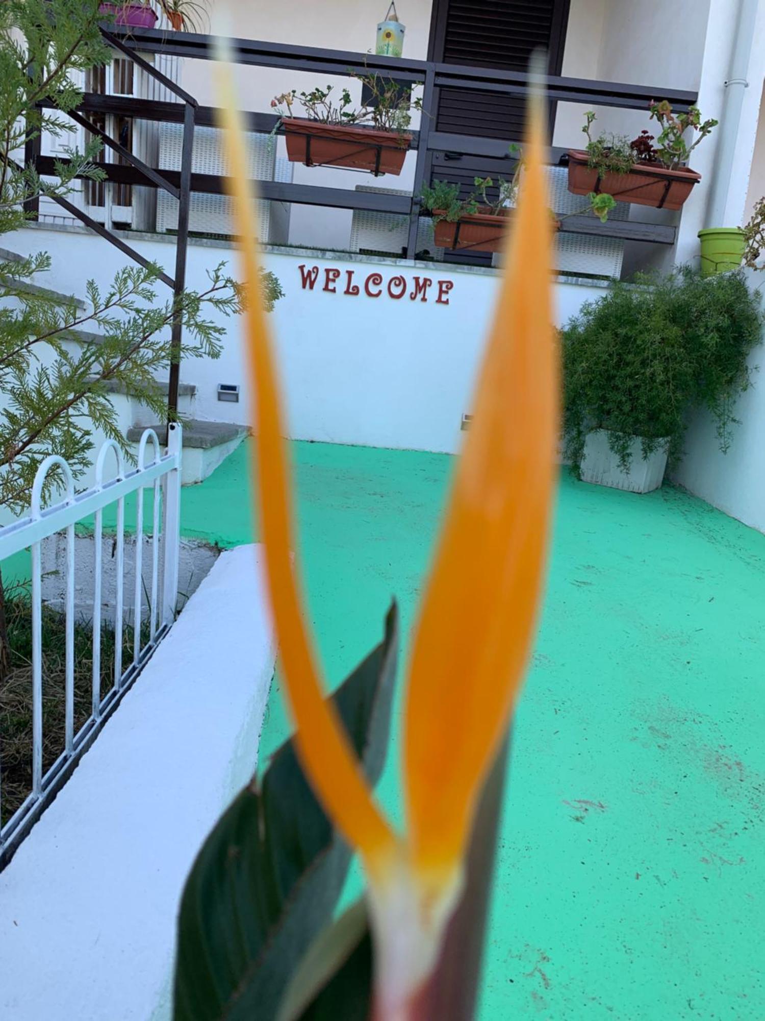 B&B A Casa Di Picci Santa Domenica  Ngoại thất bức ảnh