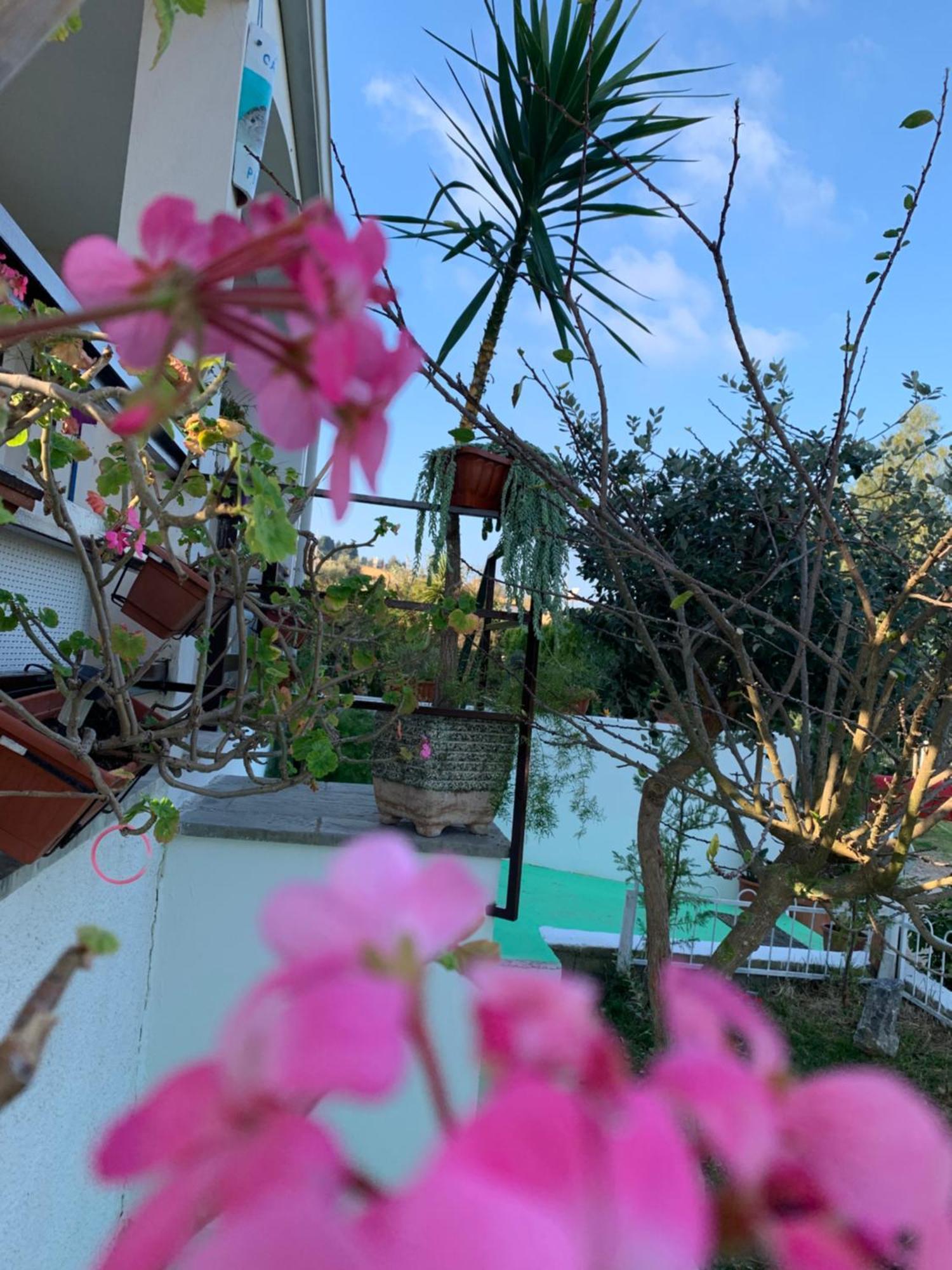 B&B A Casa Di Picci Santa Domenica  Ngoại thất bức ảnh