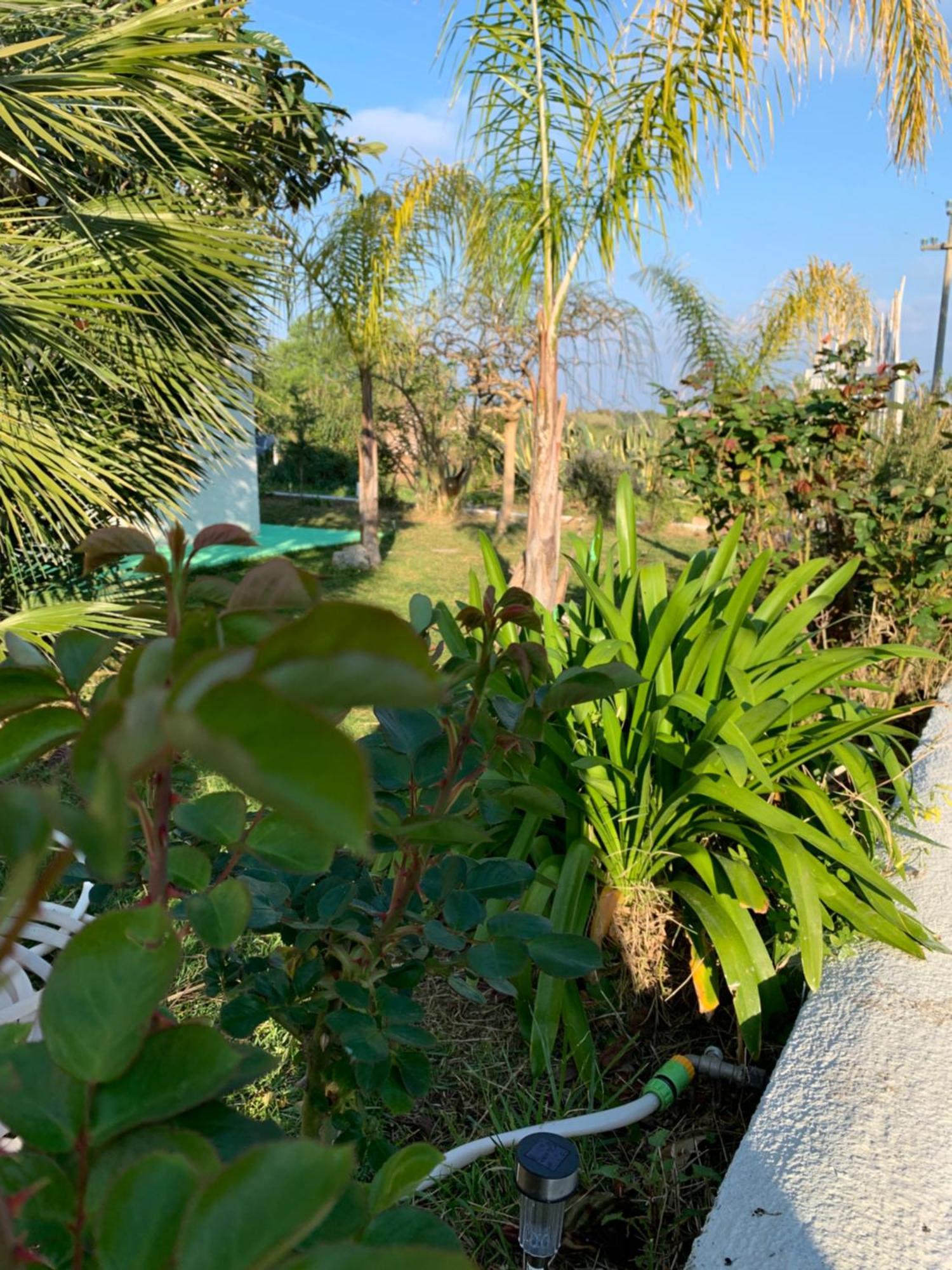 B&B A Casa Di Picci Santa Domenica  Ngoại thất bức ảnh