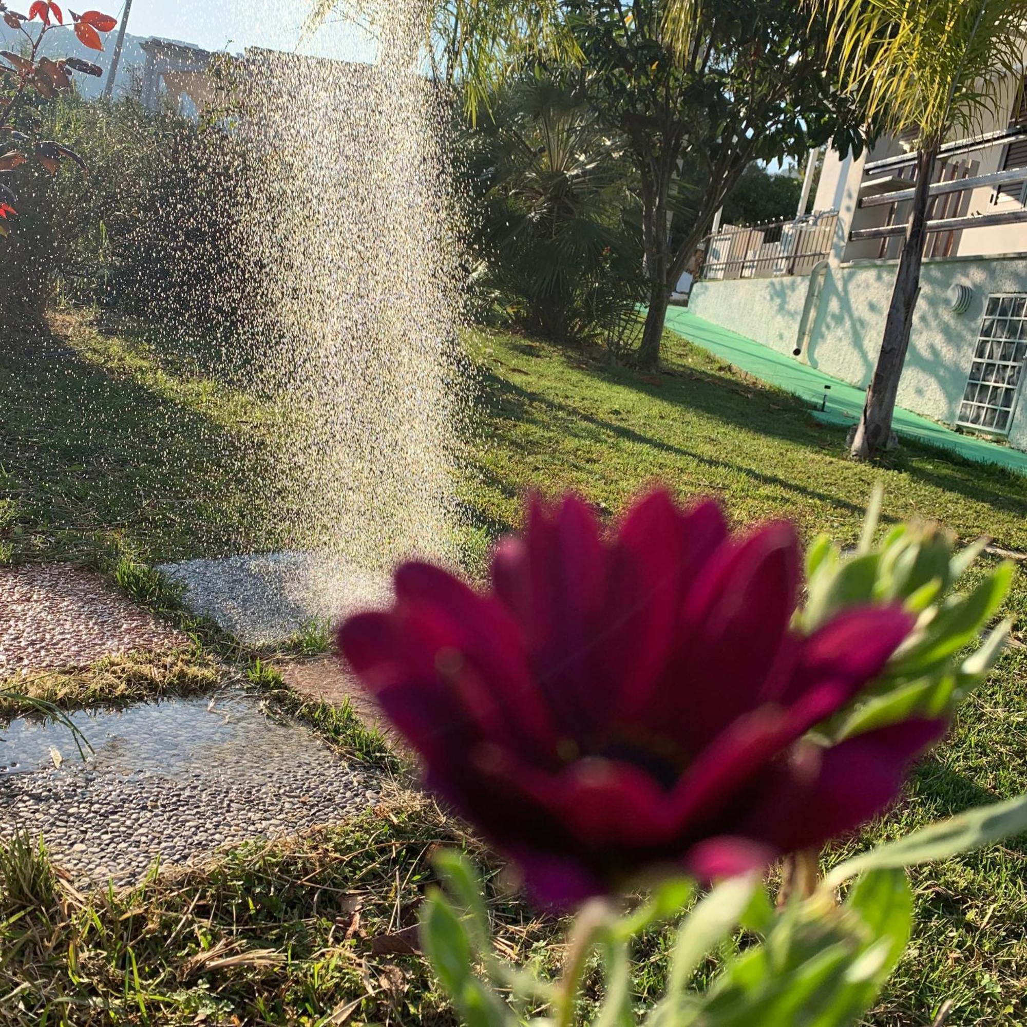 B&B A Casa Di Picci Santa Domenica  Ngoại thất bức ảnh