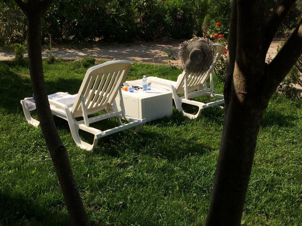 B&B A Casa Di Picci Santa Domenica  Ngoại thất bức ảnh